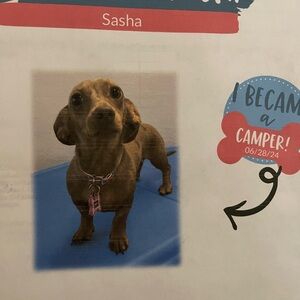 Meet your Posher, Getquiea